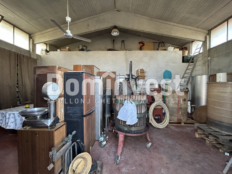 Immagine 20 di Rustico / casale in vendita  in Strada Pedemontana a Capalbio