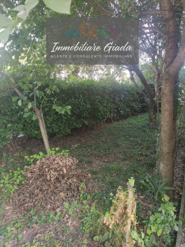 Immagine 16 di Appartamento in vendita  in Via lourdes a Conegliano