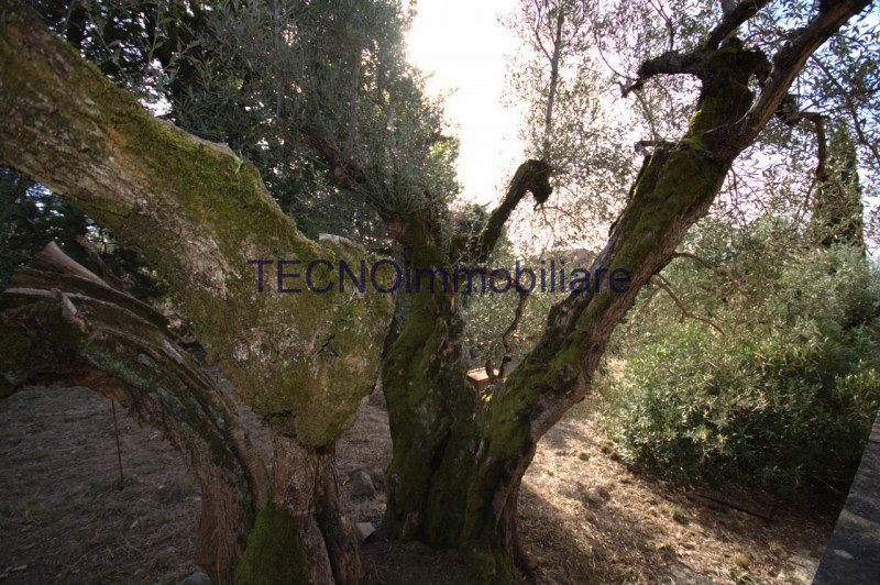 Immagine 25 di Villa in vendita  in via del bando a Perugia