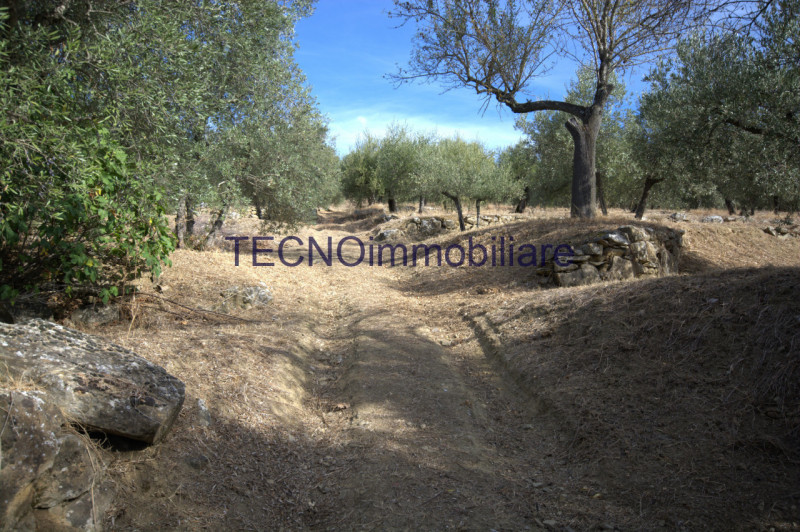 Immagine 39 di Villa in vendita  in via del bando a Perugia