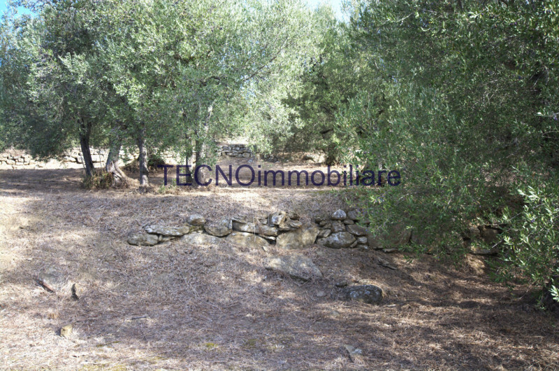 Immagine 40 di Villa in vendita  in via del bando a Perugia