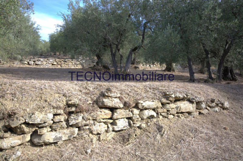 Immagine 41 di Villa in vendita  in via del bando a Perugia