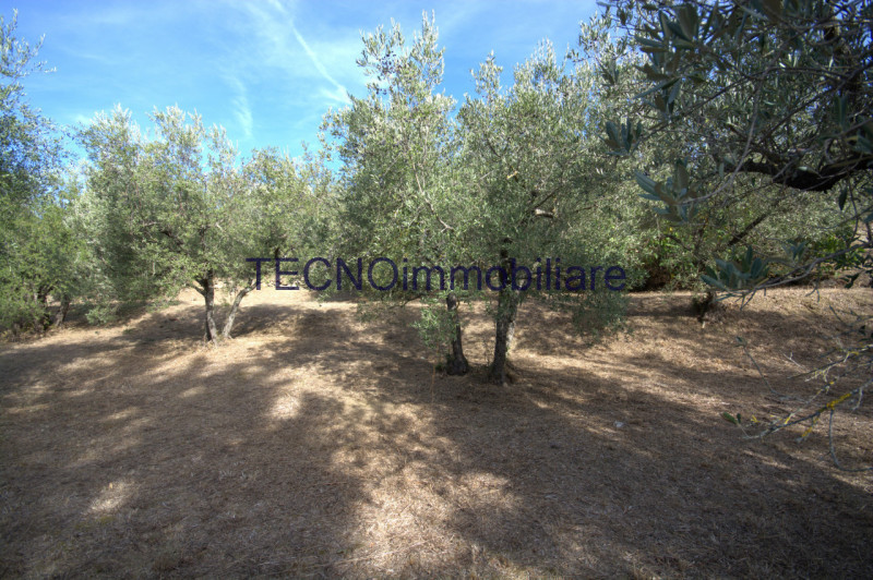 Immagine 58 di Villa in vendita  in via del bando a Perugia