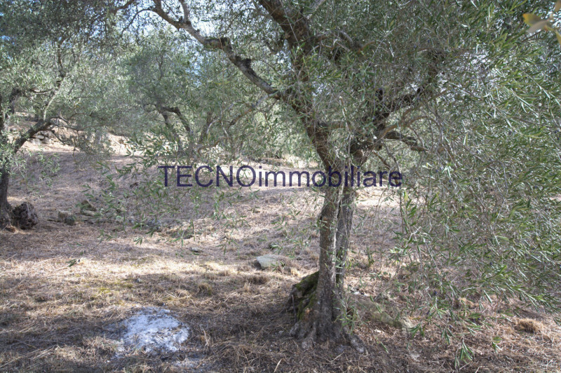 Immagine 60 di Villa in vendita  in via del bando a Perugia