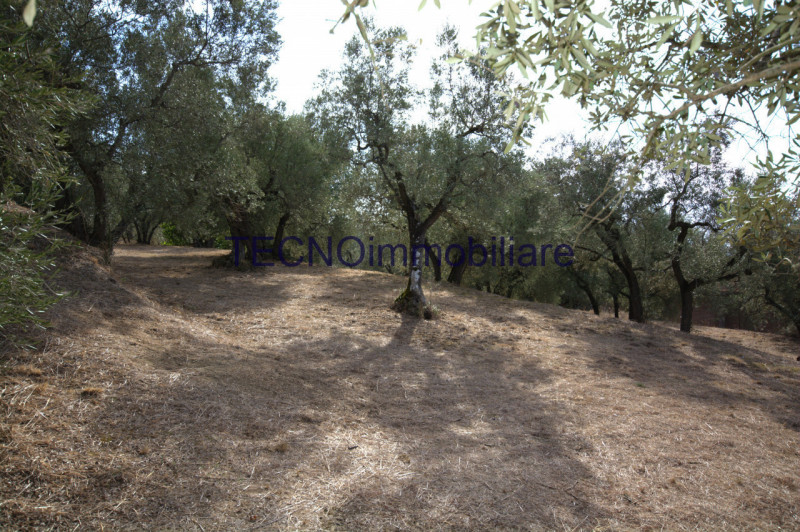 Immagine 61 di Villa in vendita  in via del bando a Perugia