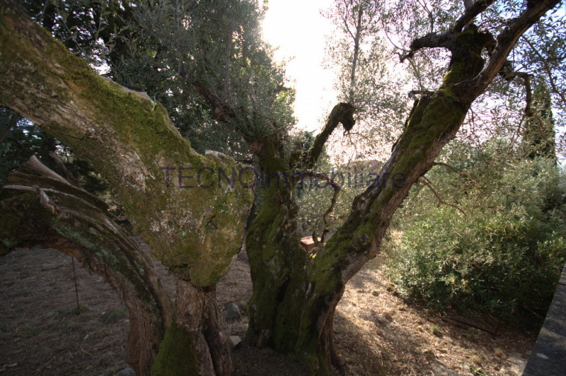 Immagine 96 di Villa in vendita  in via del bando a Perugia
