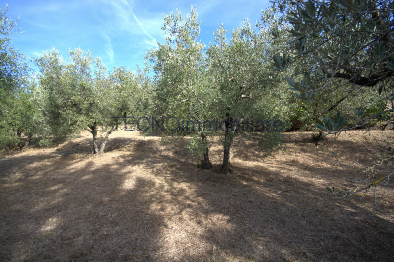 Immagine 109 di Villa in vendita  in via del bando a Perugia