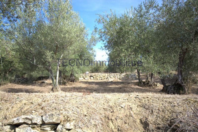 Immagine 110 di Villa in vendita  in via del bando a Perugia