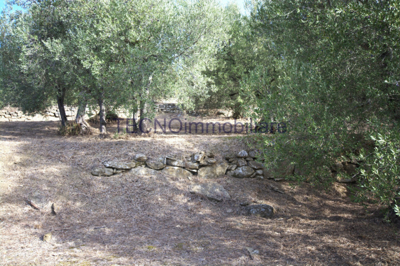 Immagine 111 di Villa in vendita  in via del bando a Perugia