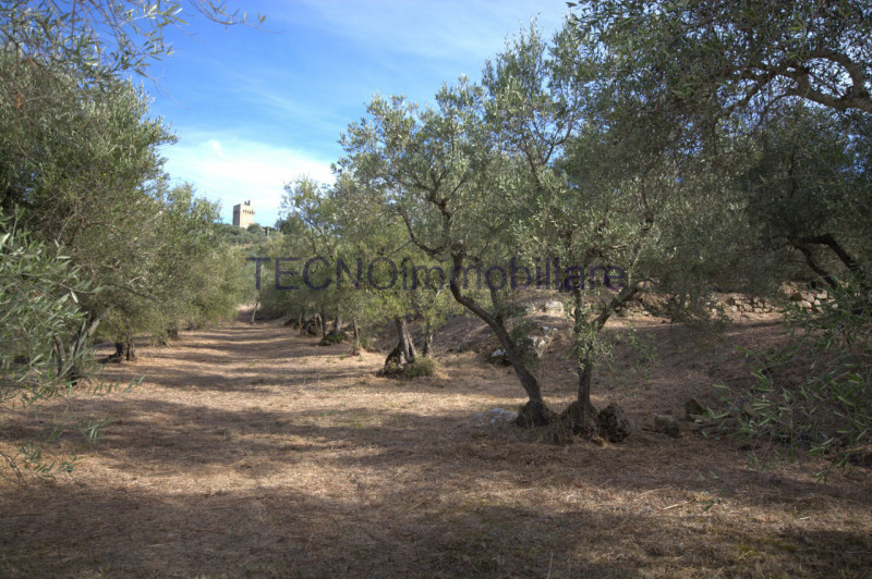 Immagine 112 di Villa in vendita  in via del bando a Perugia