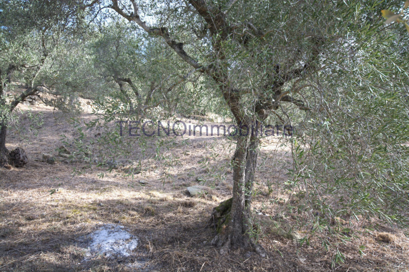 Immagine 113 di Villa in vendita  in via del bando a Perugia