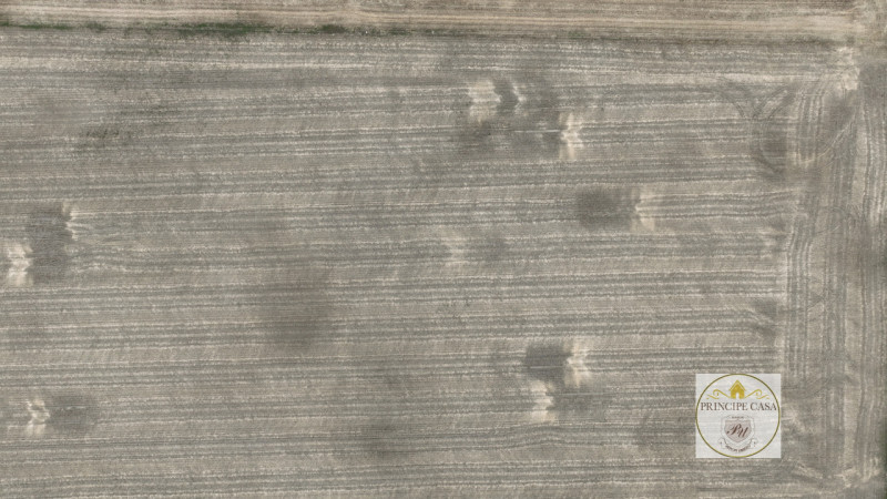 Immagine 6 di Terreno in vendita  in barbona a Barbona