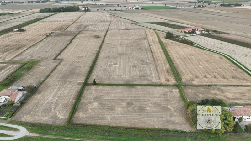 Immagine 8 di Terreno in vendita  in barbona a Barbona