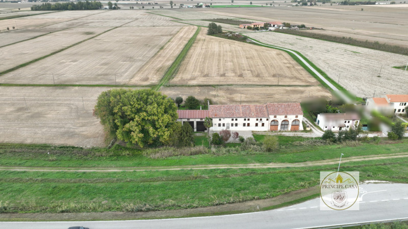 Immagine 10 di Terreno in vendita  in barbona a Barbona