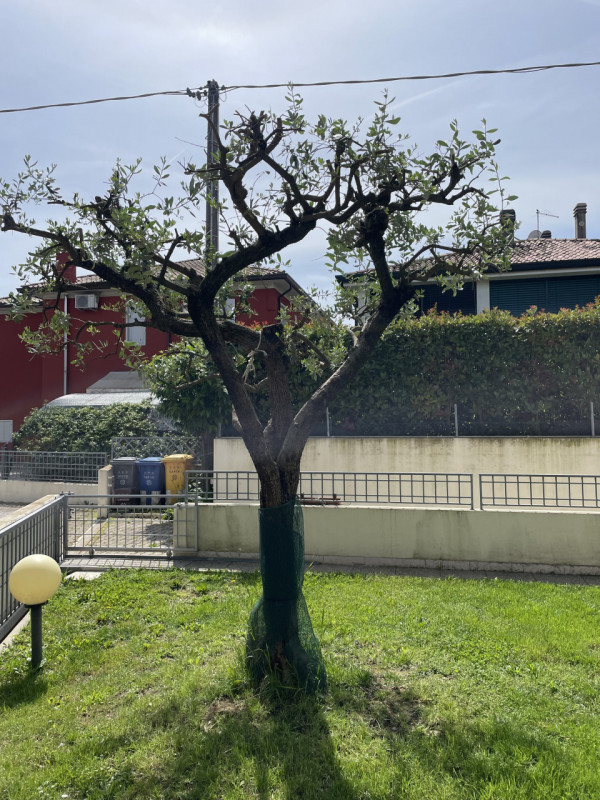 Immagine 29 di Casa bifamiliare in vendita  a Castelfranco Veneto