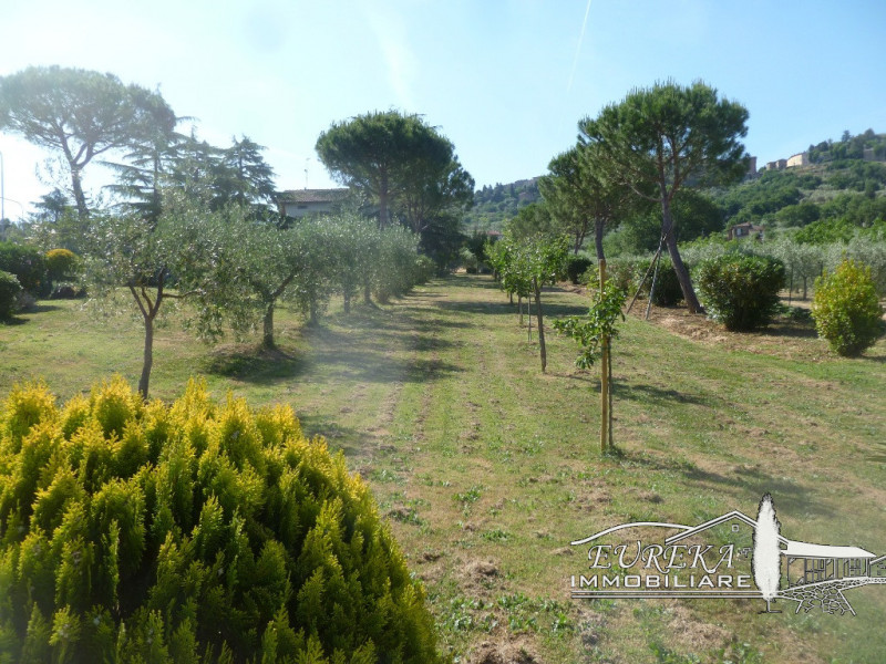 Immagine 38 di Villa in vendita  a Panicale