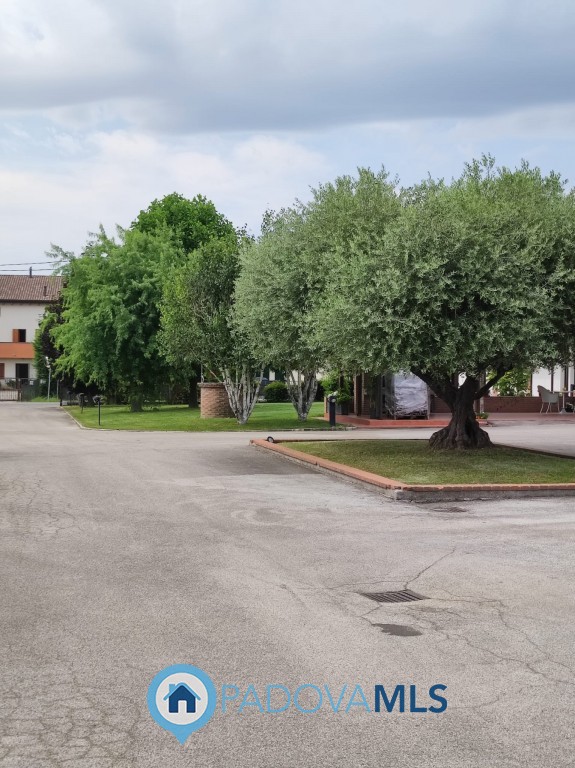 Immagine 23 di Villa in vendita  in Via Manzoni a Albignasego