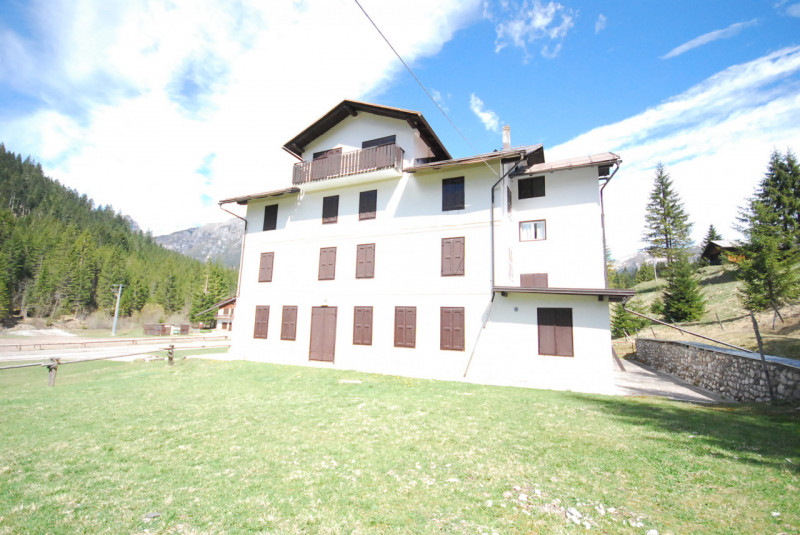 Immagine 3 di Casa indipendente in vendita  in Cima Canale a Santo Stefano Di Cadore