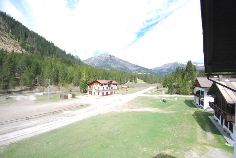 Immagine 29 di Casa indipendente in vendita  in Cima Canale a Santo Stefano Di Cadore