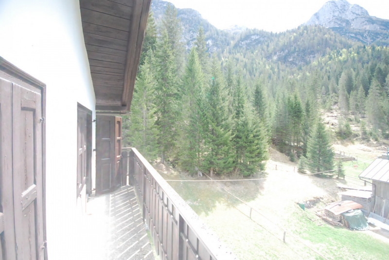 Immagine 31 di Casa indipendente in vendita  in Cima Canale a Santo Stefano Di Cadore