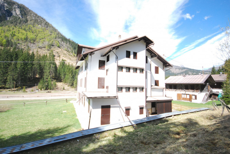 Immagine 34 di Casa indipendente in vendita  in Cima Canale a Santo Stefano Di Cadore