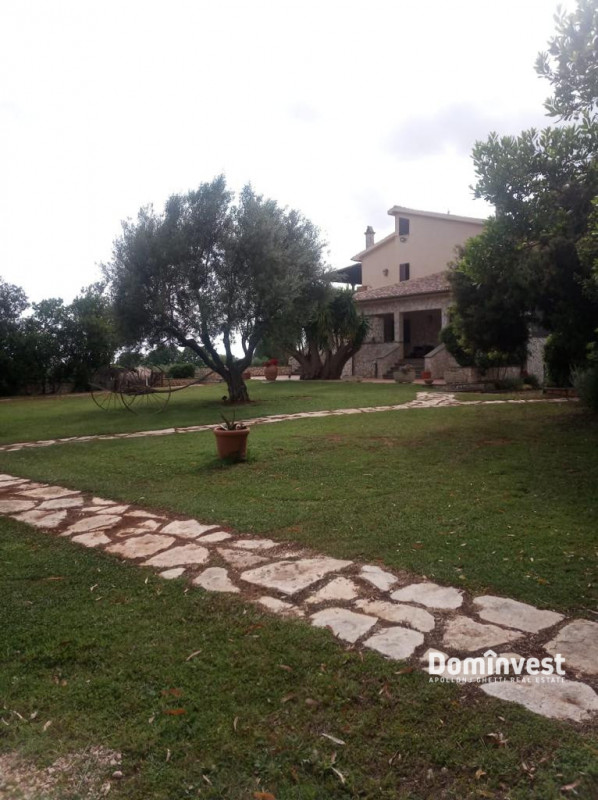 Immagine 9 di Villa in vendita  in Strada Poggio pelato a Capalbio