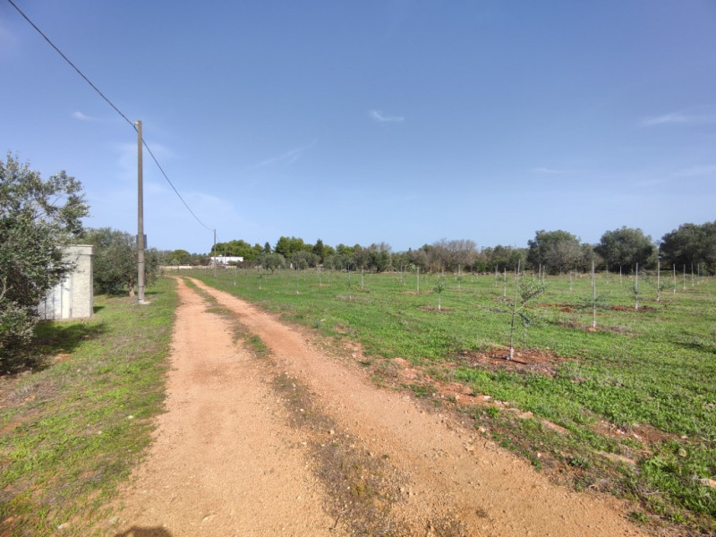 Immagine 5 di Villa in vendita  in via vecchia gallipoli 2 a Sannicola