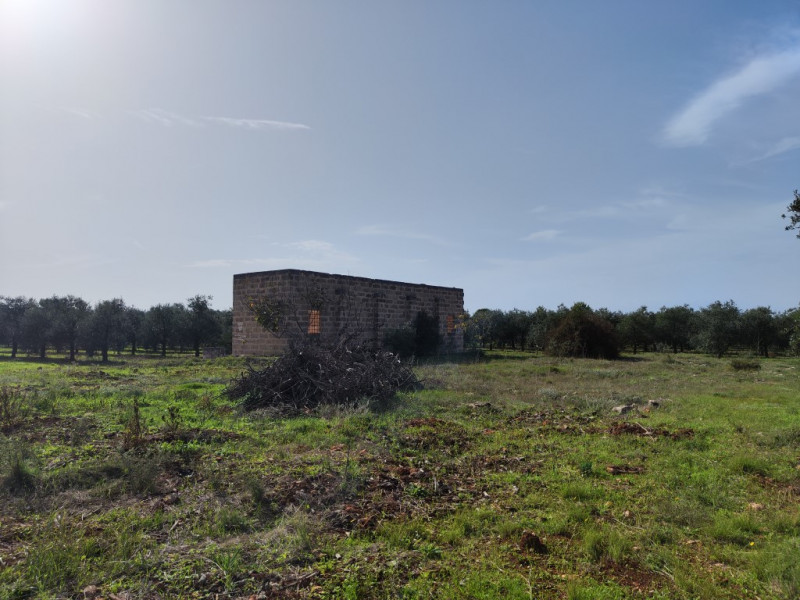 Immagine 6 di Villa in vendita  in via vecchia gallipoli 2 a Sannicola