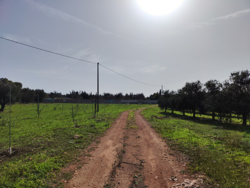 Immagine 10 di Villa in vendita  in via vecchia gallipoli 2 a Sannicola