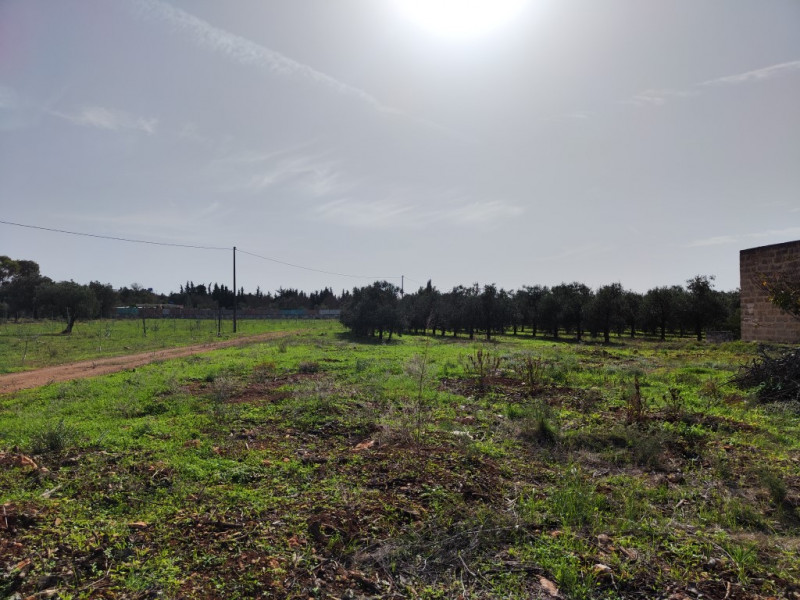 Immagine 11 di Villa in vendita  in via vecchia gallipoli 2 a Sannicola