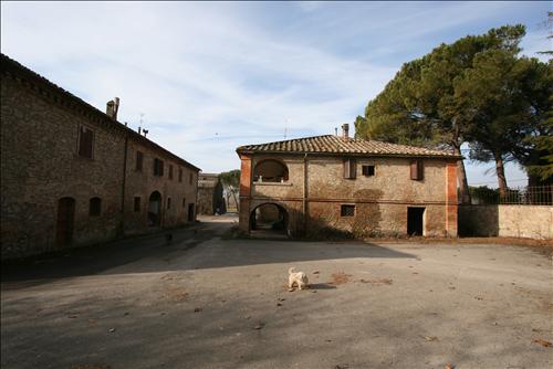 Immagine 4 di Attività commerciale in vendita  a Siena