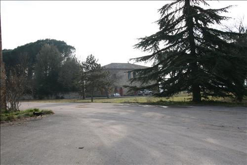 Immagine 9 di Attività commerciale in vendita  a Siena