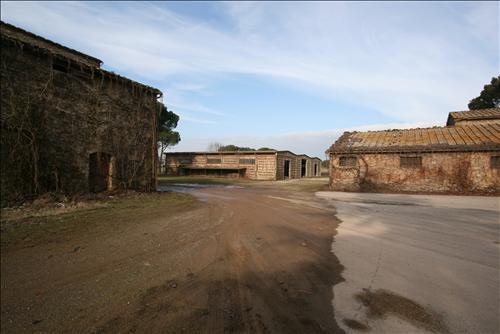 Immagine 11 di Attività commerciale in vendita  a Siena
