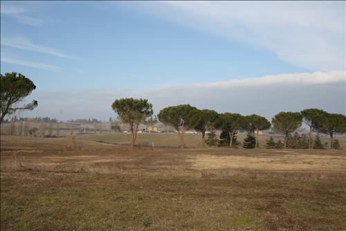 Immagine 16 di Attività commerciale in vendita  a Siena