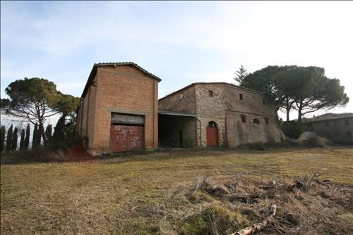 Immagine 18 di Attività commerciale in vendita  a Siena