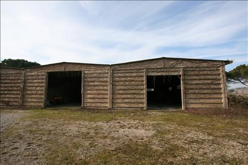 Immagine 19 di Attività commerciale in vendita  a Siena