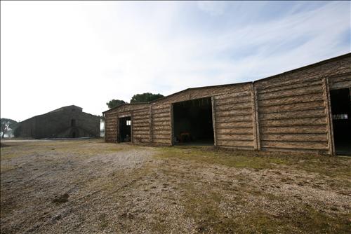 Immagine 20 di Attività commerciale in vendita  a Siena