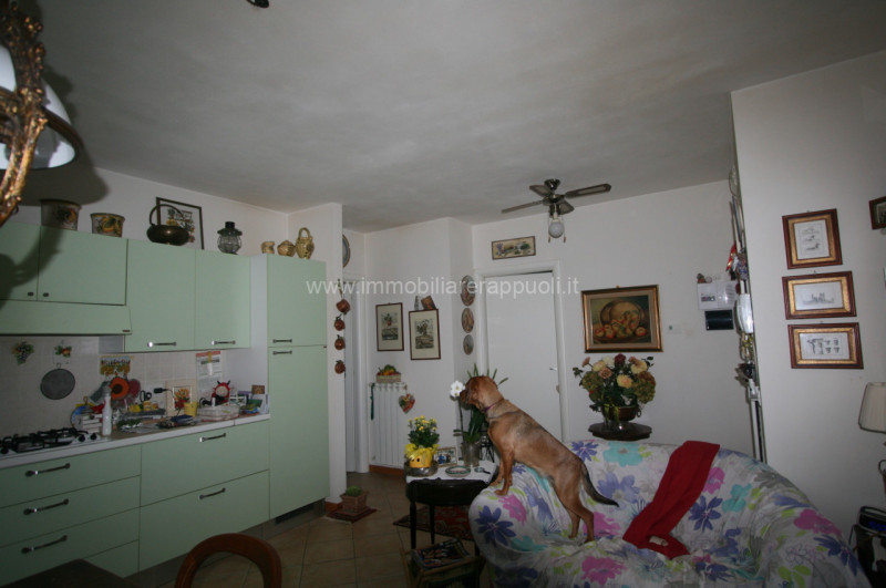 Immagine 3 di Appartamento in vendita  a Torrita Di Siena