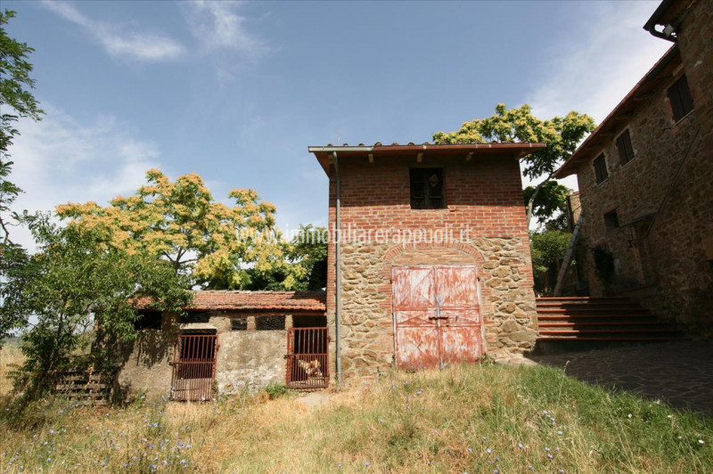 Immagine 8 di Casa indipendente in vendita  a Trequanda