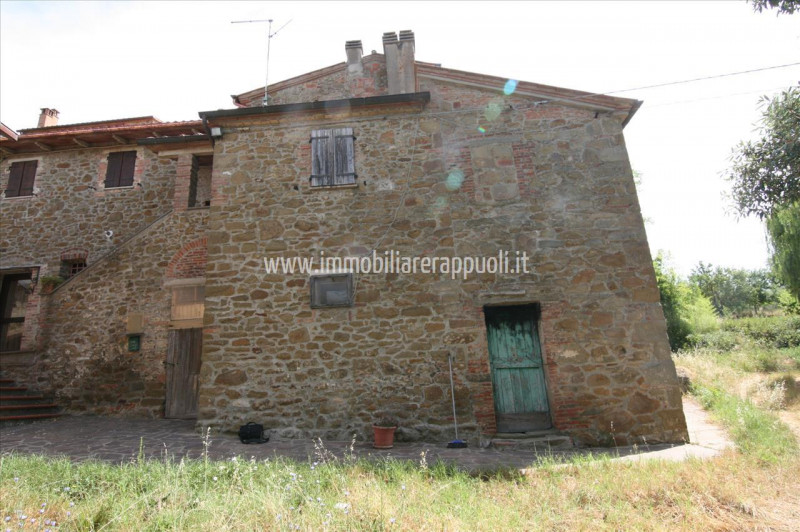 Immagine 9 di Casa indipendente in vendita  a Trequanda