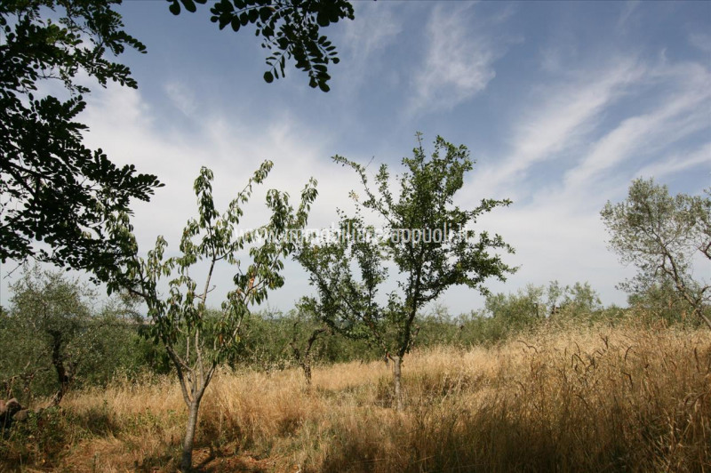 Immagine 11 di Casa indipendente in vendita  a Trequanda