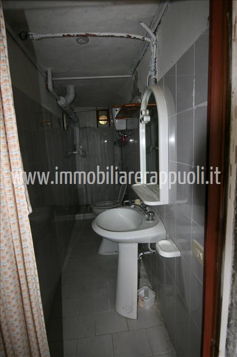 Immagine 17 di Casa indipendente in vendita  a Trequanda