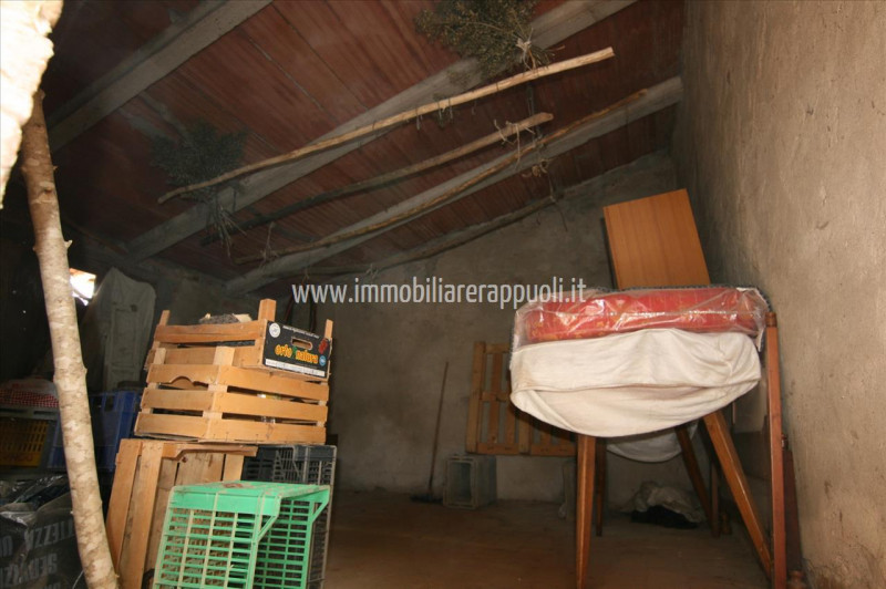 Immagine 18 di Casa indipendente in vendita  a Trequanda