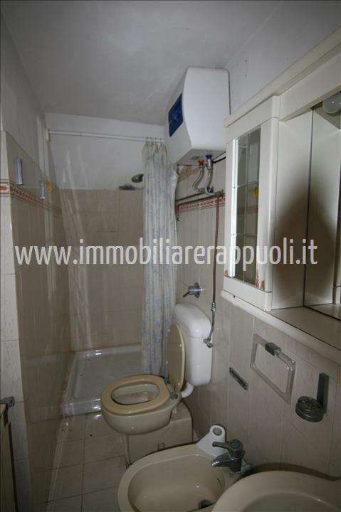 Immagine 28 di Casa indipendente in vendita  a Trequanda