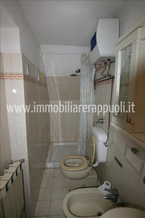 Immagine 29 di Casa indipendente in vendita  a Trequanda