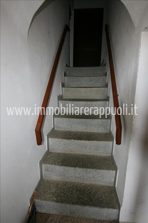 Immagine 30 di Casa indipendente in vendita  a Trequanda