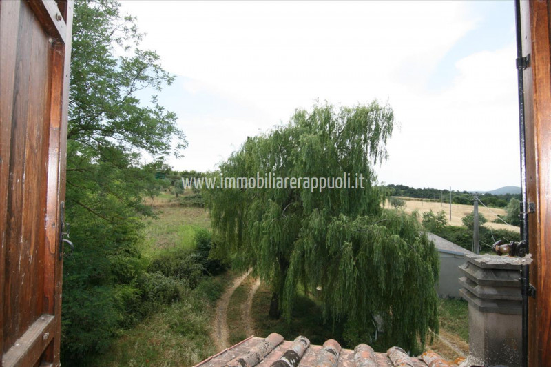 Immagine 31 di Casa indipendente in vendita  a Trequanda