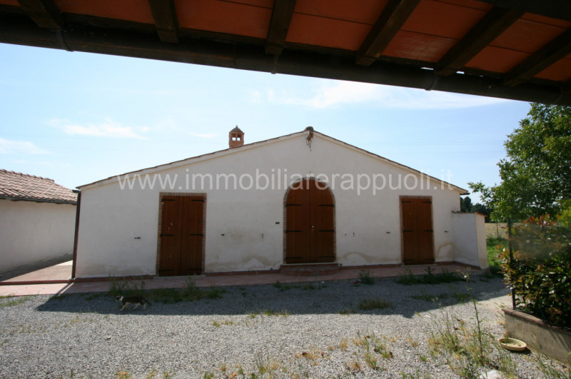 Immagine 3 di Rustico / casale in vendita  a Montepulciano