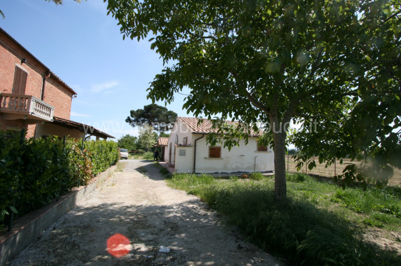 Immagine 4 di Rustico / casale in vendita  a Montepulciano