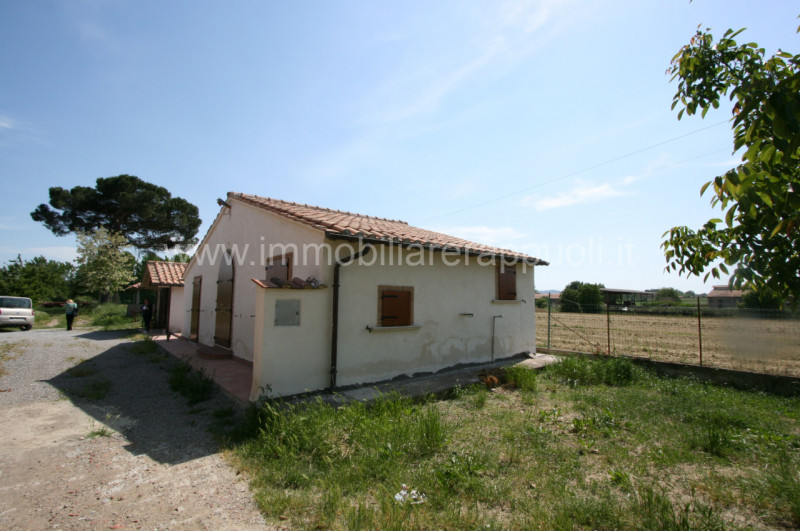 Immagine 5 di Rustico / casale in vendita  a Montepulciano